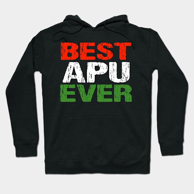 Hungarian Dad Best Apu Ever Father Apa Hungary Flag Distressed Hoodie by Nirvanibex